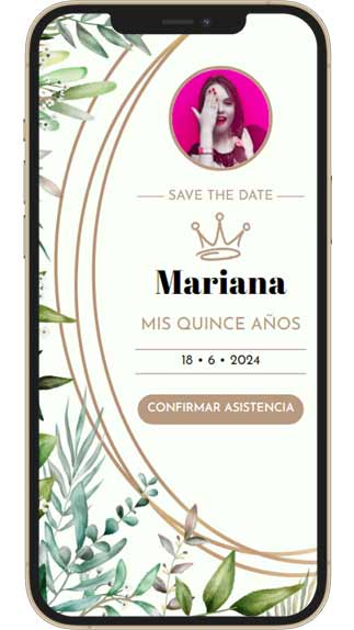 Save the Date web